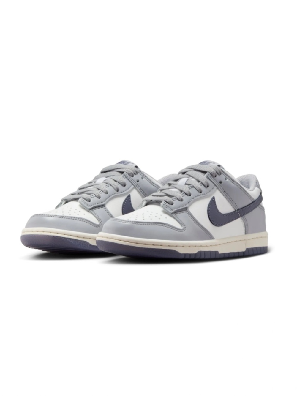 Nike Kids Dunk Low Basketball Sneaker